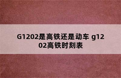 G1202是高铁还是动车 g1202高铁时刻表
